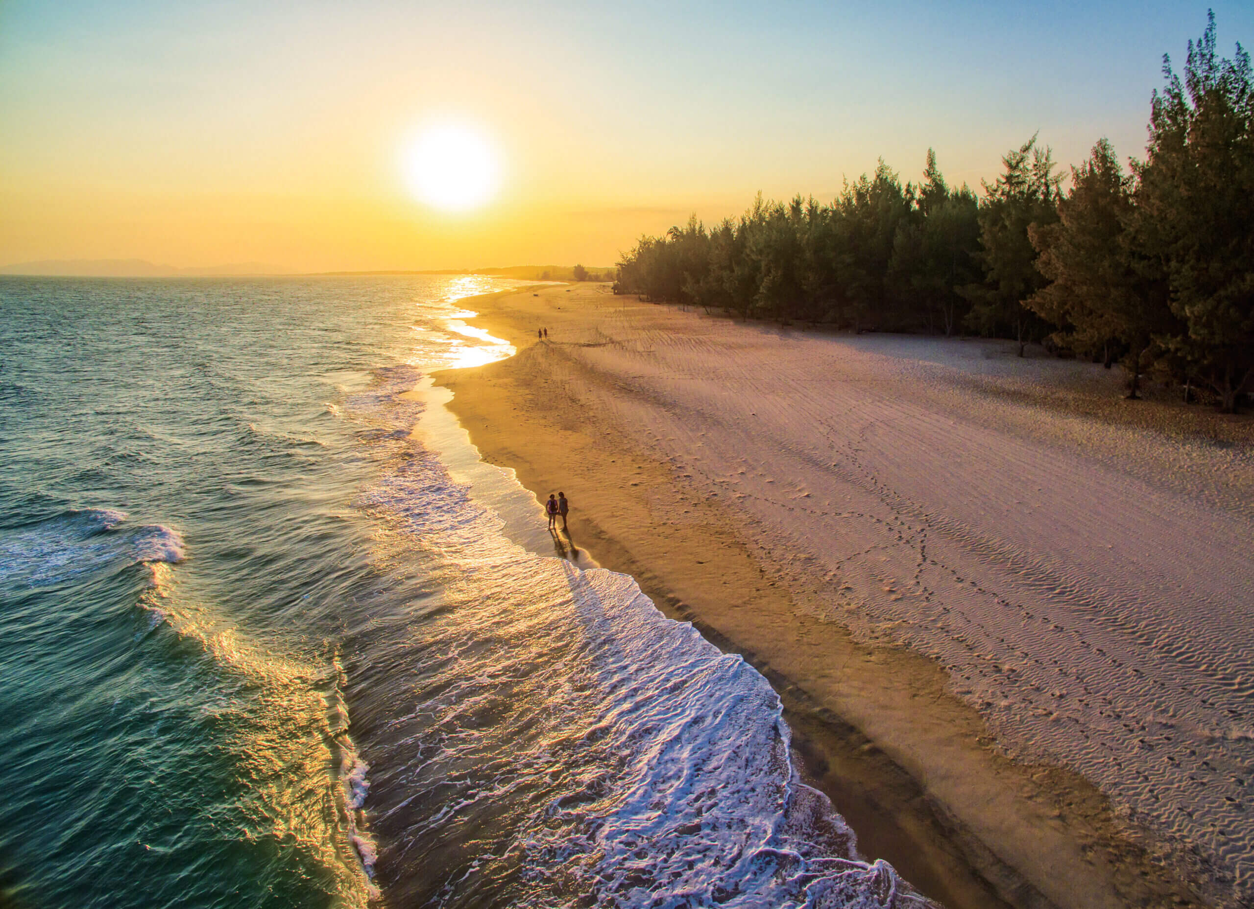 Morning Walks By the Beach